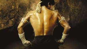 Ong Bak — foto 5