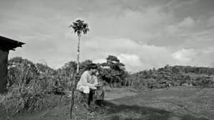 Phantosmia — foto 5