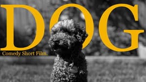 Dog (The Mockumentary) — foto 1