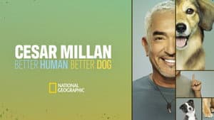Cesar Millan: Better Human, Better Dog — foto 10