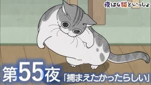Episodio 55