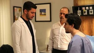 Episodio 26