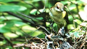 Nature's Half Acre — foto 1
