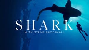 Shark with Steve Backshall — foto 10