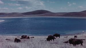 Concerto for Water, Sun and Wilderness — foto 1