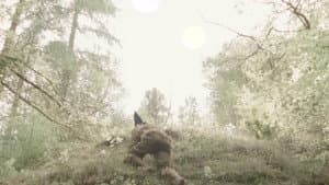 Rover of Meadow's Advent — foto 1