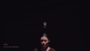 솧 — foto 2