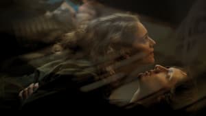Malgré la nuit — foto 10