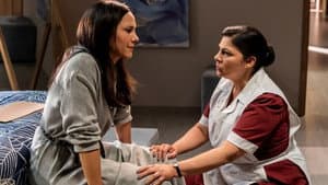 Episodio 14