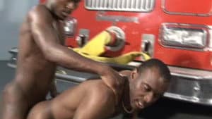 Amateur Black Cock Hounds — foto 1