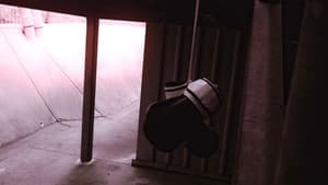 Trapped In Sight — foto 3