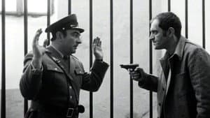 Zazidani — foto 2