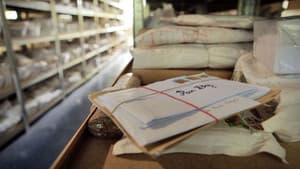 Poste restante — foto 1