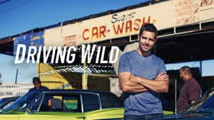 Driving Wild — foto 2