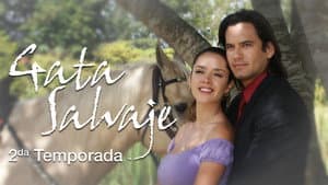Gata salvaje — foto 4