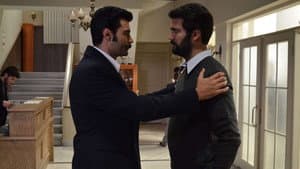 Episodio 7