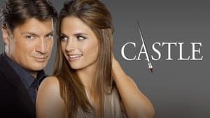 Castle — foto 5