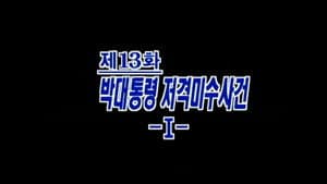 Episodio 13