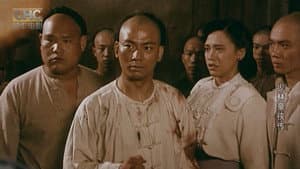 黃飛鴻之男兒當報國 — foto 2