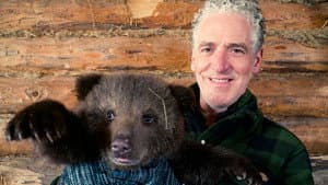 Grizzly Bear Cubs and Me — foto 1