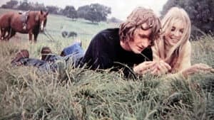 The Ragman's Daughter — foto 1