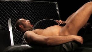 Dog Fight — foto 3