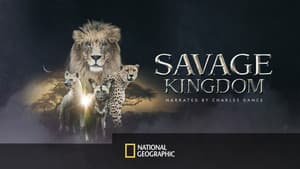 Imperio Salvaje — foto 9