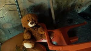 Teddy Bear — foto 8