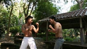 Be Boy Four Some — foto 1