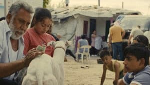 Ciudad sin sueño — foto 2