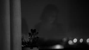 Memories of a Window — foto 1