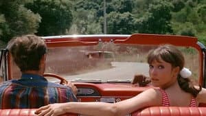 Pierrot le fou — foto 7