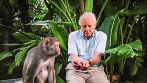David Attenborough's Rise of Animals: Triumph of the Vertebrates — foto 4