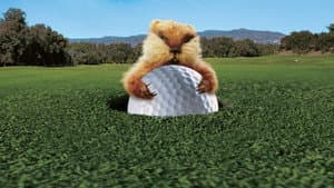 Los locos del golf — foto 9