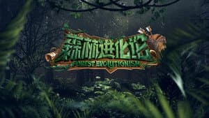 森林进化论 — foto 2