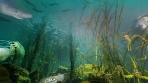 Wonders of the Celtic Deep — foto 3