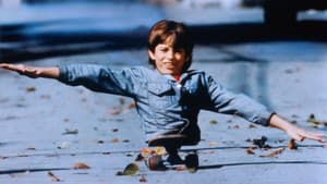 The Kid Brother — foto 2