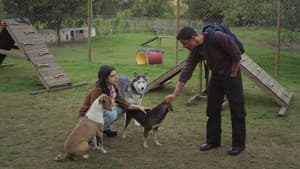 Episodio 26