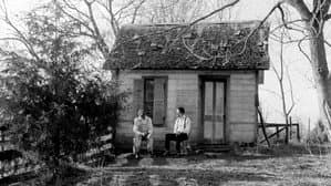 Lomax — foto 1