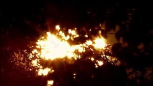 AurA — foto 1