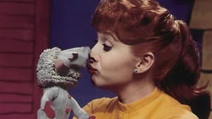 Shari & Lamb Chop — foto 2