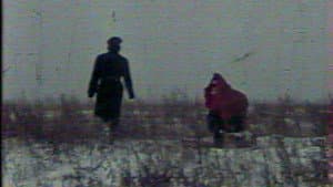 Метаморфоза — foto 2