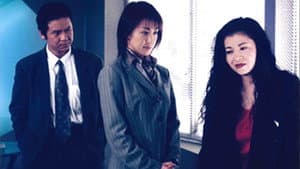 女弁護士水島由里子の危険な事件ファイル — foto 1