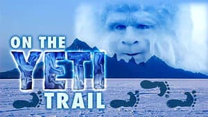 On the Yeti Trail — foto 1