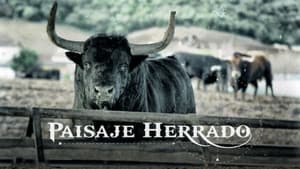Paisaje herrado — foto 1