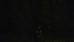 Reflections After Midnight — foto 4