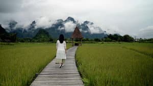 행복의 발견 — foto 1