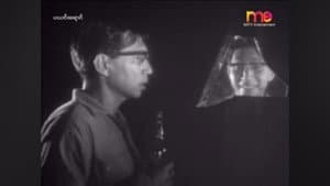 ပယင်းရောင် — foto 2