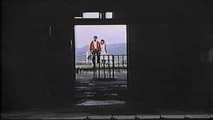 ザ・異色ドキュメント　馬と女 — foto 5