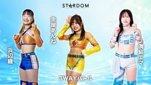 STARDOM GW TOUR 2026 in KOCHI — foto 6